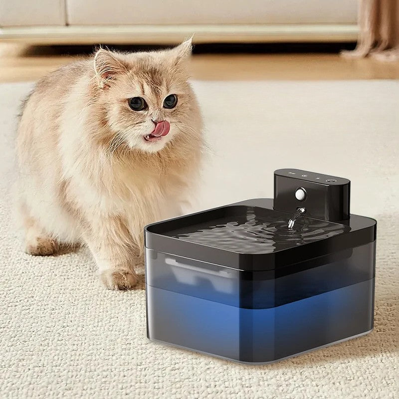 Fontaine à Eau Automatique Pour Chat
