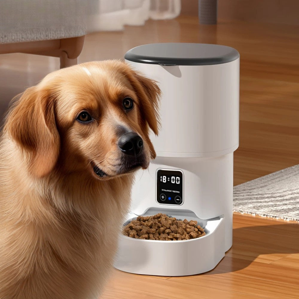 Mangeoire Pour Chien Automatique