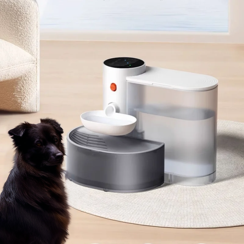 Distributeur D'eau Pour Chien Automatique